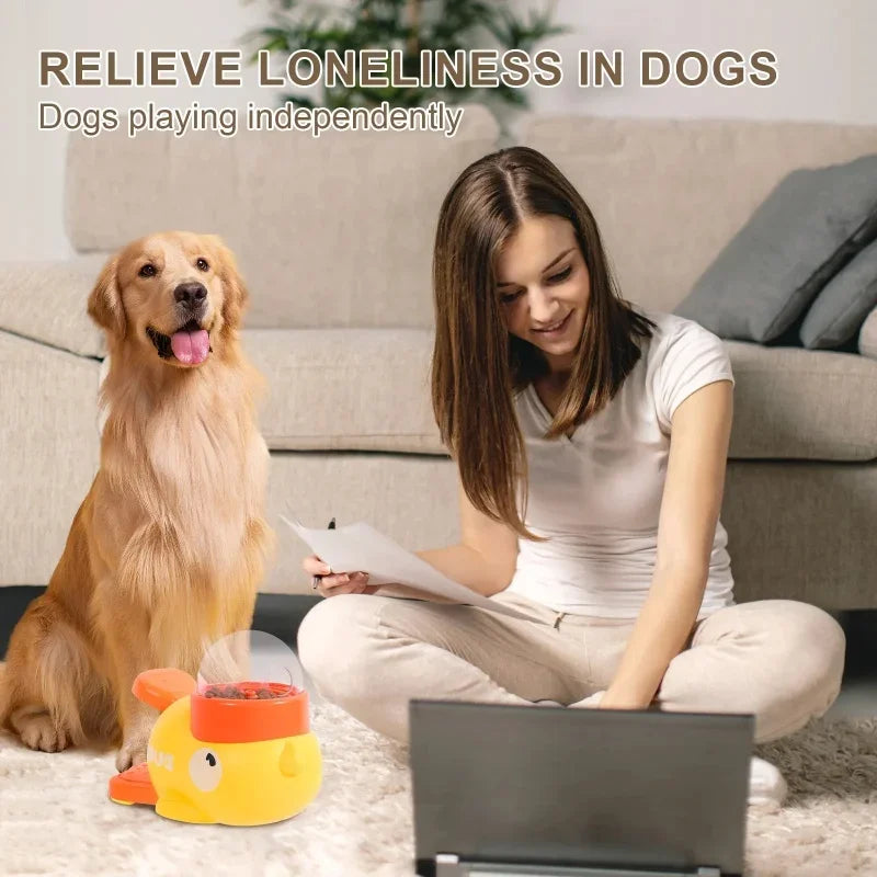 Automatic Interactive Pet Treat Dispenser