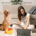 Automatic Interactive Pet Treat Dispenser
